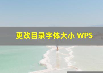 更改目录字体大小 WPS